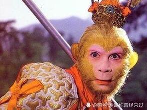 孙悟空吃瓜子,猴王孙悟空的瓜子奇缘